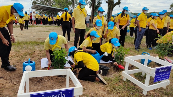 ไฟล์แนบ การประปาส่วนภูมิภาคสาขาพังงา ร่วมกิจกรรมจิตอาสาพัฒนาเนื่องในโอกาสวันสำคัญของชาติไทย 5 ธันวาคม 2565