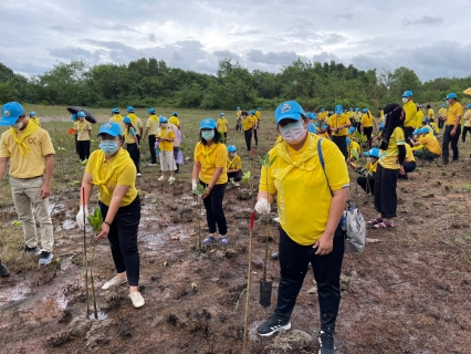 ไฟล์แนบ กปภ.สาขาระนอง ร่วมกิจกรรมจิตอาสา เนื่องในวันคล้ายวันพระบรมราชสมภพพระบาทสมเด็จพระบรมชนกาธิเบศร มหาภูมิพลอดุลยเดชมหาราช บรมนาถบพิตร
