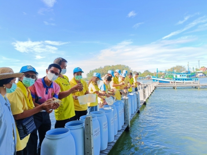 ไฟล์แนบ การประปาส่วนภูมิภาคสาขาปากน้ำประแสร์ เข้าร่วมกิจกรรมจิตอาสาทำความดี ด้วยหัวใจ 