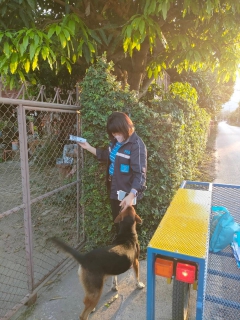 ไฟล์แนบ เมื่อวันที่  20 ธันวาคม 2565 เวลา 16.30 น. - 18.30 น. นายธนพล อัตถวิบูลย์กุล ผู้จัดการการประปาส่วนภูมิภาคสาขาบ้านโฮ่งนำทีม พร้อมพนักงานในสังกัด กปภ.สาขาบ้านโฮ่ง ลงพื้นที่เพื่อสำรวจลูกค้าที่มีความสนใจจะขอใช้น้ำประปาของการประปาส่วนภูมิภาค และรับลงทะเบียน PWA Line Official จ่ายค่าน้ำออนไลน์ ณ บ้านดงห้วยเย็น ม.14 ต.บ้านโฮ่ง อ.บ้านโฮ่ง จ.ลำพูน