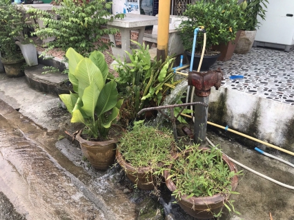 ไฟล์แนบ การประปาส่วนภูมิภาคสาขาจันดี ลงพื้นที่ระบายตะกอนในเส้นท่อจ่ายน้ำ ประจำเดือน ธันวาคม 2565