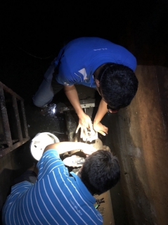 ไฟล์แนบ กปภ.&#8203;สาขา&#8203;สมุทรสงคราม&#8203;, กองระบบจำหน่าย กปภ.ข.3 และ ผู้รับจ้าง ALC เร่งลดน้ำสูญเสีย เพิ่มน้ำจำหน่าย