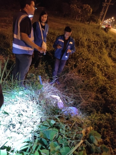 ไฟล์แนบ การประปาส่วนภูมิภาคสาขาคลองท่อมลงพื้นที่สำรวจหาท่อแตกรั่ว บริเวณพื้นที่ตำบลคลองท่อมใต้