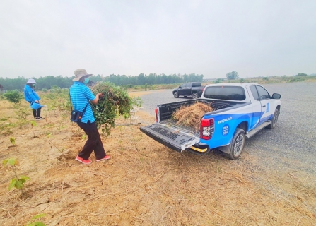 ไฟล์แนบ กปภ.สาขาปทุมธานี ดำเนินกิจกรรม โครงการ โคก หนอง นา สัปปายะและรมณียสถาน สถานปฏิบัติธรรมสมเด็จพระสังฆราช (อมพรมหาเถร) ของสำนักงานทรัพยากรธรรมชาติและสิ่งแวดล้อมจังหวัดปทุมธานี