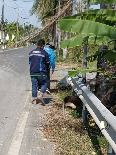 ไฟล์แนบ การประปาส่วนภูมิภาคสาขาขลุงลงพื้นที่หาท่อแตก-รั่ว ครั้งที่ 12 บริเวณเส้นถนนชายหาดแหลมสิงห์ (MM09 )
