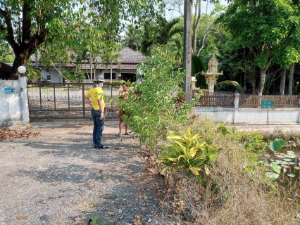 ไฟล์แนบ การประปาส่วนภูมิภาคสาขากาญจนดิษฐ์  ลงพื้นที่สำรวจ หาท่อแตกท่อรั่วท่อส่งน้ำขนาด 700 มิลลิเมตร ตั้งแต่สถานีจ่ายน้ำพลายวาส ไปยังสามแยกบ้านใน สถานีผลิตน้ำบ้านใน
