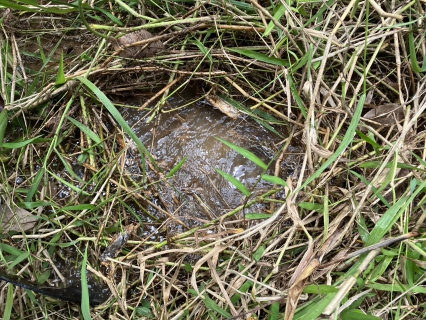 ไฟล์แนบ การประปาส่วนภูมิภาคสาขากาญจนดิษฐ์  ลงพื้นที่สำรวจ หาท่อแตกท่อรั่วท่อส่งน้ำขนาด 700 มิลลิเมตร ตั้งแต่สถานีจ่ายน้ำพลายวาส ไปยังสามแยกบ้านใน สถานีผลิตน้ำบ้านใน