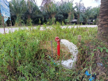 ไฟล์แนบ การประปาส่วนภูมิภาคสาขาคลองท่อมปิดล้างตะกอนระบายในเส้นท่อจ่ายน้ำ (Blow off) ผ่านหัวดับเพลิง โดยลงพื้นที่บริเวณพื้นที่ตำบลลำทับ 