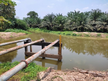 ไฟล์แนบ การประปาส่วนภูมิภาคสาขาคลองท่อมได้ลงพื้นที่&#8203;ติดตามสถานการณ์น้ำ บริเวณคลองสินปุน หน่วยบริการลำทับ ตำบลลำทับ อำเภอลำทับ