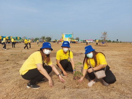 ไฟล์แนบ การประปาส่วนภูมิภาคสาขานครสวรรค์ เข้าร่วมกิจกรรมโครงการปลูกป่าเพื่อเพิ่มพื้นที่สีเขียวฯ เนื่องในวาระครบรอบ 100 ปี วันประสูติ สมเด็จพระเจ้าพี่นางเธอเจ้าฟ้ากัลยาณิวัฒนา กรมหลวงนราธิวาสราชนครินทร์