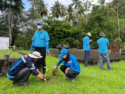 ไฟล์แนบ กปภ.สาขาพังงา จัดกิจกรรมโครงการ กปภ.ปลูกป่าเพื่อแผ่นดิน เทิดพระเกียรติพระบาทสมเด็จพระบรมชนกาธิเบศร มหาภูมิพลอดุลยเดชมหาราช บรมนาถบพิตร (Fathers Land) 