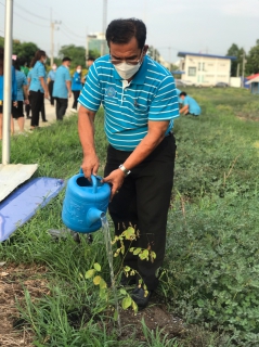 ไฟล์แนบ การประปาส่วนภูมิภาคสาขาคลองหลวง จัดกิจกรรมปลูกต้นไม้ ภายใต้โครงการ กปภ.ปลูกป่าเพื่อแผ่นดินเทิดพระเกียรติพระบาทสมเด็จพระบรมชนกาธิเบศร มหาภูมิพลอดุลยเดชมหาราช บรมนาถบพิตร (Fathers Land) ปี 2566 และเนื่องในวันต้นไม้ประจำปีของชาติ ประจำปี 2566 