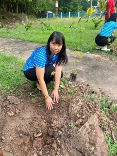 ไฟล์แนบ กปภ.สาขาวิเชียรบุรี ดำเนินโครงการ กปภ.ปลูกป่าเพื่อแผ่นดิน เทิดพระเกียรติพระบาทสมเด็จพระบรมชนกาธิเบศร มหาภูมิพลอดุลยเดชมหาราช บรมนาถบพิตร ปี 2566 