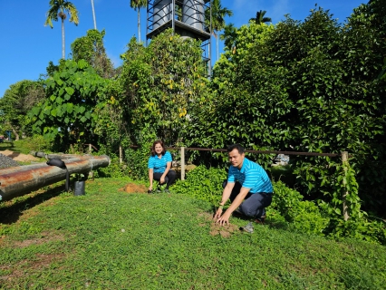 ไฟล์แนบ กปภ.ปลูกป่าเพื่อแผ่นดิน เทิดพระเกียรติพระบาทสมเด็จพระบรมชนกาธิเบศร มหาภูมิพลอดุลยเดชมหาราช บรมนาถบพิตร (Fathers Land) ปี 2566