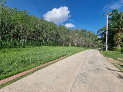 ไฟล์แนบ กปภ.สาขาบางสะพาน ร่วมกับ ศูนย์ป้องกันและบรรเทาสาธารณภัย เขต 4 ประจวบคีรีขันธ์ และ เขต 2 สุพรรณบุรี  ติดตั้งเครื่องสูบน้ำระยะไกลและโรยสายอ่อนสูบทอยน้ำดิบ คลองช้างแรก แก้ไขปัญหาภัยแล้ง