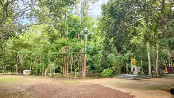 ไฟล์แนบ ภาพประกอบกิจกรรม