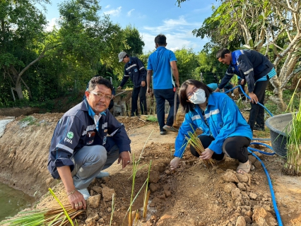 ไฟล์แนบ การประปาส่วนภูมิภาคสาขาปราณบุรี  ดำเนินการปลูกหญ้าแฝก เพื่อป้องกันการพังทลายของคันกั้นดิน และอนุรักษ์แหล่งน้ำ ซึ่งเป็นหัวใจในการผลิตน้ำประปา 