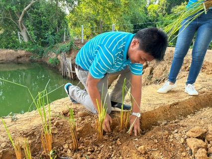 ไฟล์แนบ การประปาส่วนภูมิภาคสาขาปราณบุรี  ดำเนินการปลูกหญ้าแฝก เพื่อป้องกันการพังทลายของคันกั้นดิน และอนุรักษ์แหล่งน้ำ ซึ่งเป็นหัวใจในการผลิตน้ำประปา 