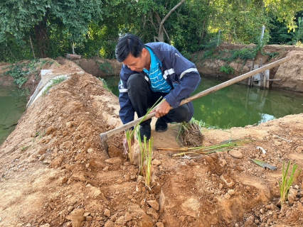 ไฟล์แนบ การประปาส่วนภูมิภาคสาขาปราณบุรี  ดำเนินการปลูกหญ้าแฝก เพื่อป้องกันการพังทลายของคันกั้นดิน และอนุรักษ์แหล่งน้ำ ซึ่งเป็นหัวใจในการผลิตน้ำประปา 