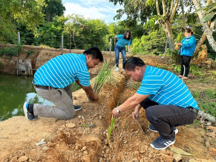 ไฟล์แนบ การประปาส่วนภูมิภาคสาขาปราณบุรี  ดำเนินการปลูกหญ้าแฝก เพื่อป้องกันการพังทลายของคันกั้นดิน และอนุรักษ์แหล่งน้ำ ซึ่งเป็นหัวใจในการผลิตน้ำประปา 