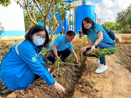 ไฟล์แนบ การประปาส่วนภูมิภาคสาขาปราณบุรี  ดำเนินการปลูกหญ้าแฝก เพื่อป้องกันการพังทลายของคันกั้นดิน และอนุรักษ์แหล่งน้ำ ซึ่งเป็นหัวใจในการผลิตน้ำประปา 