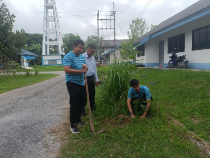 ไฟล์แนบ กปภ.สาขาเทิง จัดกิจกรรมเนื่องในวันรักต้นไม้ประจำปีของชาติ พ.ศ.2566 เพื่อน้อมรำลึกถึงพระมหากรุณาธิคุณของสมเด็จพระศรีนครินทราบรมราชชนนี 