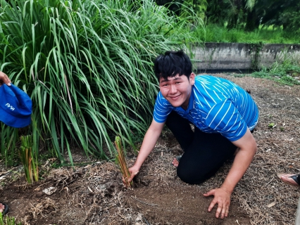 ไฟล์แนบ การประปาส่วนภูมิภาคสาขาบ้านบึง ร่วมกิจกรรม วันรักต้นไม้ประจำปีของชาติ 