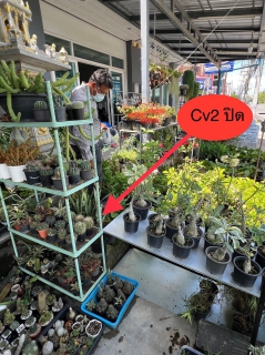 ไฟล์แนบ กปภ.สาขาสงขลา ออกปฏิบัติการหาน้ำสญเสียเชิงรุก โดยตรวจสอบตำแหน่งประตูน้ำตัดตอนและทำ Step Test พื้นที่ DMA 01-02 (ม.ราชภัฎสงขลา) ต.เขารูปช้าง อ.เมือง จ.สงขลา