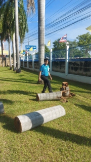 ไฟล์แนบ กปภ.สาขาด่านช้าง จัดกิจกรรม 5 ส. Big Cleaning Day