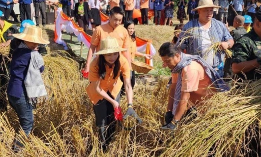 ไฟล์แนบ กปภ.ข.7 ร่วมงาน "เทศกาลเอาแฮง จับเคียว เกี่ยวข้าว ครั้งที่ 1"