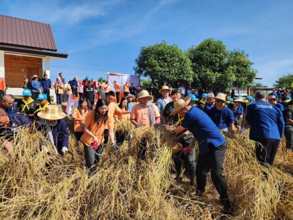 ไฟล์แนบ กปภ.ข.7 ร่วมงาน "เทศกาลเอาแฮง จับเคียว เกี่ยวข้าว ครั้งที่ 1"