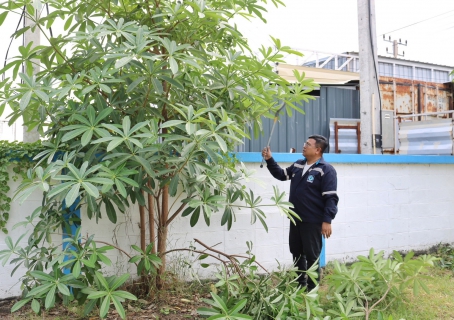 ไฟล์แนบ การประปาส่วนภูมิภาคสาขาปทุมธานี จัดกิจกรรม Big Cleaning Day บริเวณสำนักงาน ประจำเดือนธันวาคม 2566 