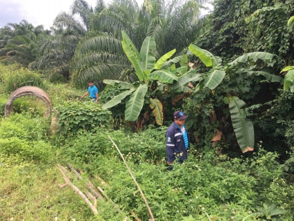 ไฟล์แนบ กปภ.สาขากระบี่ ดำเนินงานตามแผนบริหารจัดการน้ำสูญเสียเชิงรุก เดินหน้าลงพื้นจ่ายน้ำ ตำบลคลองขนานและตำบลคลองเขม้า อำเภอเหนือคลอง จังหวัดกระบี่ เดินเท้าหาท่อแตกรั่ว พร้อมซ่อมปิดจุด เพื่อลดการเกิดน้ำสูญเสีย