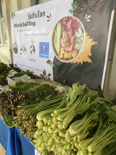 ไฟล์แนบ กปภ.ข.4 จัดกิจกรรมตลาดนัดสินค้าเกษตร เนื่องในโอกาส วันดินโลก ปี 2566
