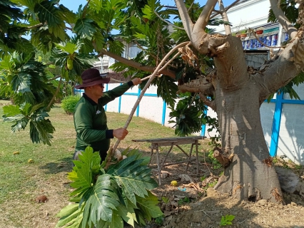 ไฟล์แนบ กปภ.สาขาท่ามะกา จัดกิจกรรม "Big cleaning day"  ประจำปี 2567 ครั้งที่ 2 วันศุกร์ที่ 26 เมษายน 2567 