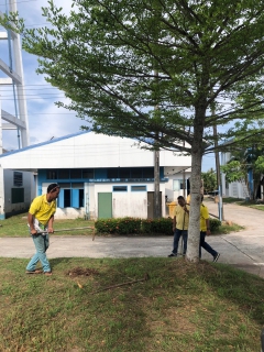 ไฟล์แนบ กปภ.สาขาระโนด ดำเนินโครงการ กปภ.ปลูกป่าเพื่อแผ่นดิน เทิดพระเกียรติพระบาทสมเด็จพระบรมชนกาธิเบศร มหาภูมิพลอดุลยเดชมหาราช บรมนาถบพิตร (Father