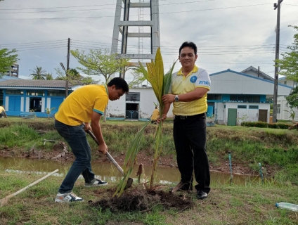 ไฟล์แนบ กปภ.สาขาระโนด ดำเนินโครงการ กปภ.ปลูกป่าเพื่อแผ่นดิน เทิดพระเกียรติพระบาทสมเด็จพระบรมชนกาธิเบศร มหาภูมิพลอดุลยเดชมหาราช บรมนาถบพิตร (Father