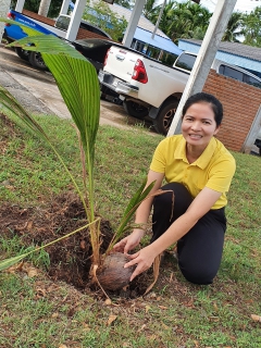 ไฟล์แนบ กปภ.สาขาระโนด ดำเนินโครงการ กปภ.ปลูกป่าเพื่อแผ่นดิน เทิดพระเกียรติพระบาทสมเด็จพระบรมชนกาธิเบศร มหาภูมิพลอดุลยเดชมหาราช บรมนาถบพิตร (Father