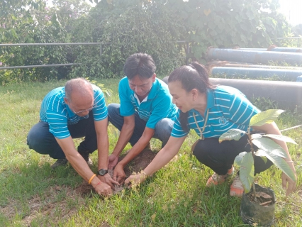 ไฟล์แนบ การประปาส่วนภูมิภาคสาขาหลังสวน ร่วมกันจัดกิจกรรมตามโครงการ กปภ.ปลูกป่าเพื่อแผ่นดิน เทิดพระเกียรติพระบาทสมเด็จพระบรมชนกาธิเบศรมหาภูมิพลอดุลยเดชมหาราช บรมนาถบพิตร (FatherLand) ประจำปี 2567