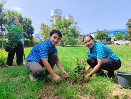 ไฟล์แนบ กปภ.สาขาสมุทรสาคร จัดกิจกรรม โครงการ กปภ.ปลูกป่าเพื่อแผ่นดิน เทิดพระเกียรติพระบาทสมเด็จพระบรมชนกาธิเบศร มหาภูมิพลอดุลยเดชมหาราช บรมนาถบพิตร (Fathers Land) ประจำปี 2567
