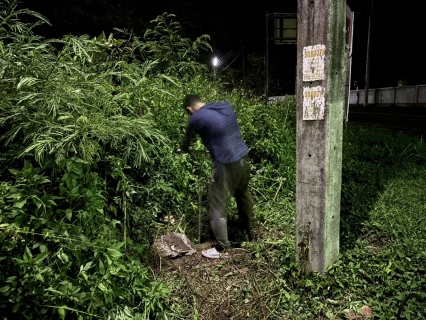 ไฟล์แนบ กปภ.สาขาหลังสวน ลงพื้นที่ทำ Step Test สำรวจหาท่อแตก-ท่อรั่ว ในพื้นที่บริเวณตำบลปากน้ำ , ตำบลแหลมทราย , ตำบลบางน้ำจืด อำเภอหลังสวน จังหวัดชุมพร