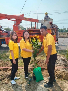ไฟล์แนบ การประปาส่วนภูมิภาคสาขาปากน้ำประแสร์ ร่วมโครงการเพิ่มพื้นที่ป่าและพื้นที่สีเขียว