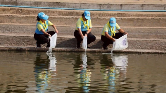 ไฟล์แนบ กปภ.สาขาธัญบุรี ร่วมกิจกรรมจิตอาสา "เราทำความดี ด้วยหัวใจ" เนื่องในโอกาสวันคล้ายวันพระราชสมภพ สมเด็จพระกนิษฐาธิราชเจ้า กรมสมเด็จพระเทพรัตนราชสุดาฯ สยามบรมราชกุมารี และวันอนุรักษ์มรดกไทย 2 เมษายน 2568