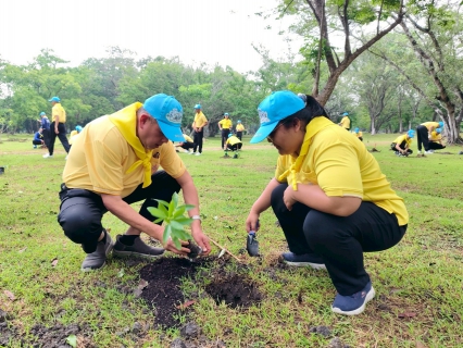 ไฟล์แนบ กปภ.สาขาอ้อมน้อย ร่วมปลูกต้นไม้ ในกิจกรรมจิตอาสาพัฒนา เนื่องในฉัตรมงคล