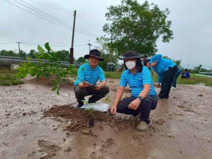 ไฟล์แนบ กปภ.สาขาพนัสนิคม จัดกิจกรรมโครงการ กปภ.ปลูกป่าเพื่อแผ่นดิน เทิดพระเกียรติพระบาทสมเด็จพระบรมชนกาธิเบศร มหาภูมิพลอดุลยเดชมหาราช บรมนาถบพิตร ประจำปี 2568