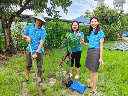 ไฟล์แนบ กปภ.สาขาสมุทรสาคร(พ) จัดกิจกรรมปลูกต้นไม้ ภายใต้โครงการ กปภ.ปลูกป่าเพื่อแผ่นดิน เทิดพระเกียรติพระบาทสมเด็จพระบรมชนกาธิเบศร มหาภูมิพลอดุลยเดชมหาราช บรมนาถบพิตร (Fathers Land) ปี 2568