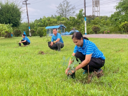 ไฟล์แนบ การประปาส่วนภูมิภาคสาขาประจวบคีรีขันธ์ ดำเนินโครงการปลูกป่าเพื่อแผ่นดิน เทิดพระเกียรติพระบาทสมเด็จพระบรมชนกาธิเบศร มหาภูมิพลอดุลยเดชมหาราช บรมนาถบพิตร (Father's Land) ประจำปี 2568 และวันต้นไม้ประจำปีของชาติ พ.ศ.2568
