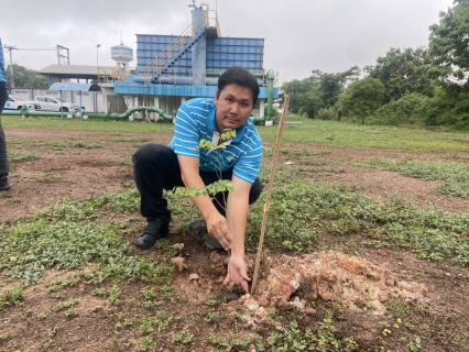 ไฟล์แนบ กปภ.สาขากำแพงเพชร ปลูกป่าเพื่อแผ่นดิน เทิดพระเกียรติพระบาทสมเด็จพระบรมชนกาธิเบศร มหาภูมิพลอดุลยเดชมหาราช บรมนาถบพิตร (Fathers Land) ปี 2568