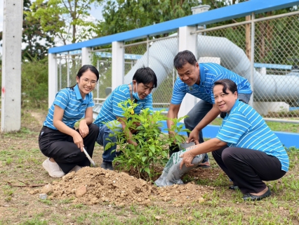 ไฟล์แนบ กปภ.สาขาท่ามะกา จัดกิจกรรมโครงการ กปภ.ปลูกป่าเพื่อแผ่นดิน เทิดพระเกียรติพระบาทสมเด็จพระบรมชนกาธิเบศร มหาภูมิพลอดุลยเดชมหาราช บรมนาถบพิตร (Fathers Land) ปี 2568 วันพฤหัสบดีที่ 15 พฤษภาคม 2568