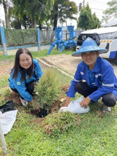 ไฟล์แนบ กปภ. สาขากันตัง  จัดกิจกรรมปลูกต้นไม้ ในโครงการ กปภ.ปลูกป่าเพื่อแผ่นดิน  เทิดพระเกียรติพระบาทสมเด็จพระบรมชนกาธิเบศร  มหาภูมิพลอดุลยเดชมหาราช บรมนาถบพิตร ประจำปี 2568